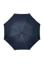 Afbeelding in Gallery-weergave laden, Samsonite Paraplu - Rain Pro Stick Umbrella Blue
