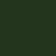 Afbeelding in Gallery-weergave laden, Il Bisonte GALILEO CARD CASE  Verde Oleandro
